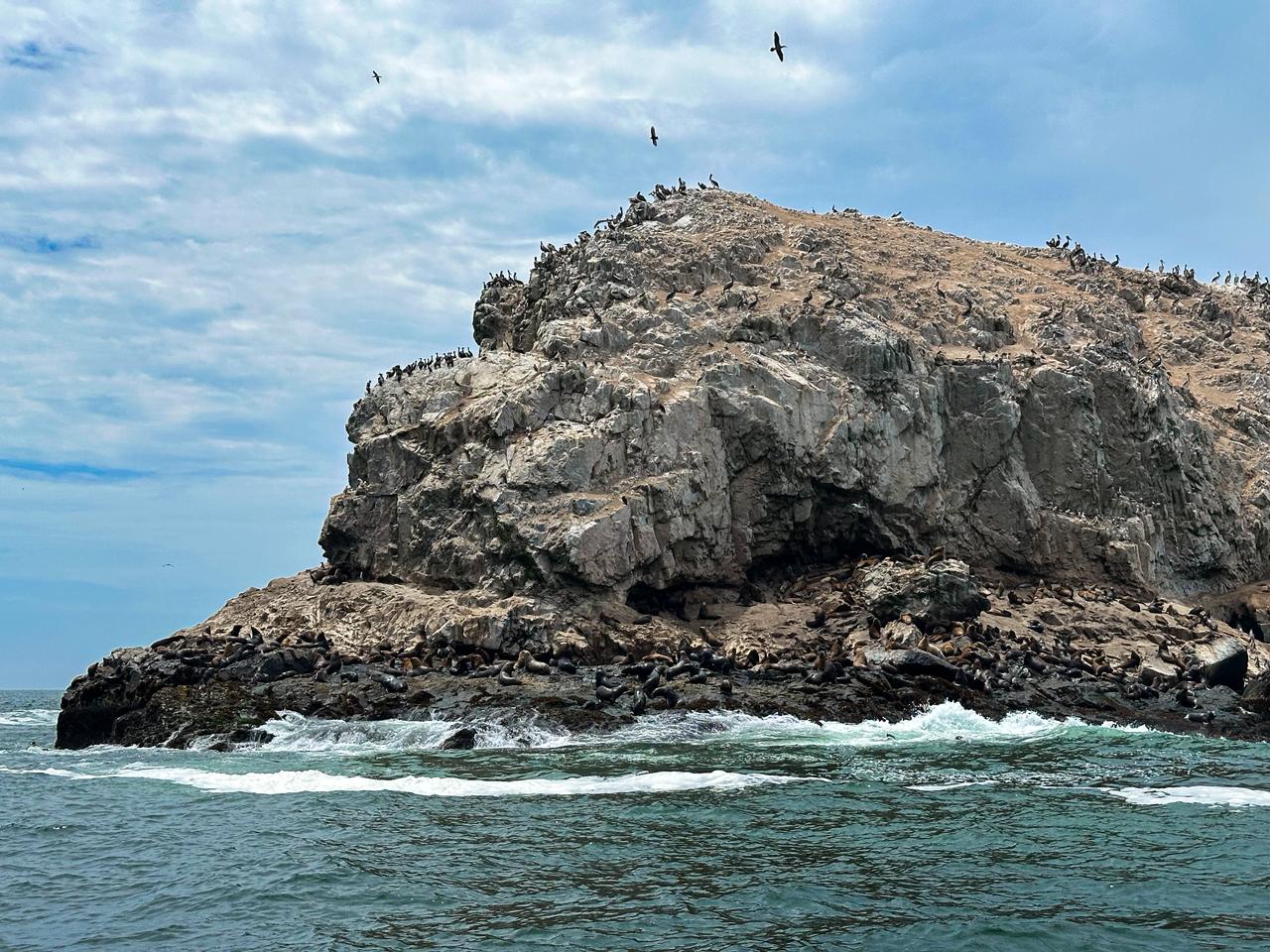 Muelle de Puerto Morín