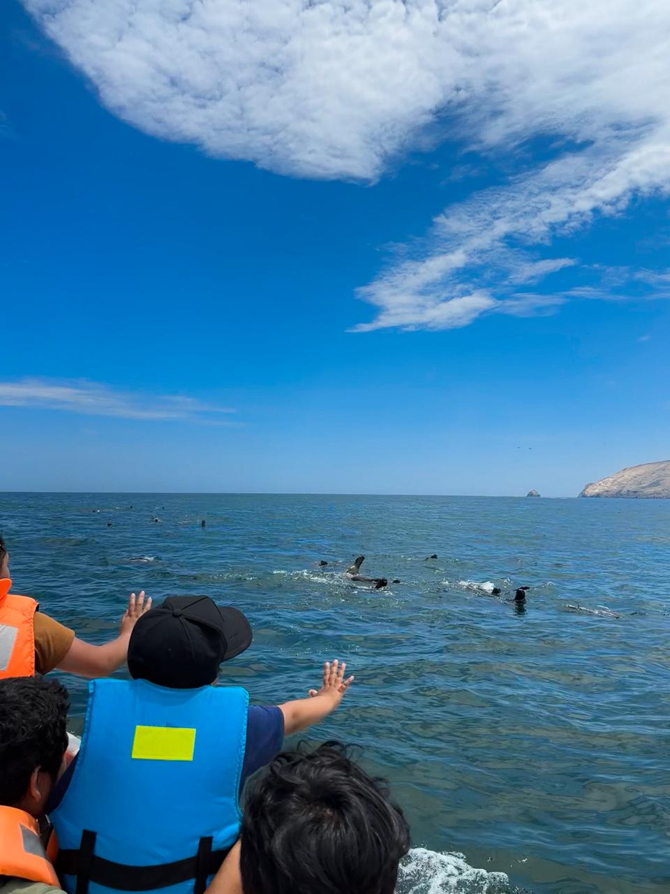 Vista panorámica de las Islas