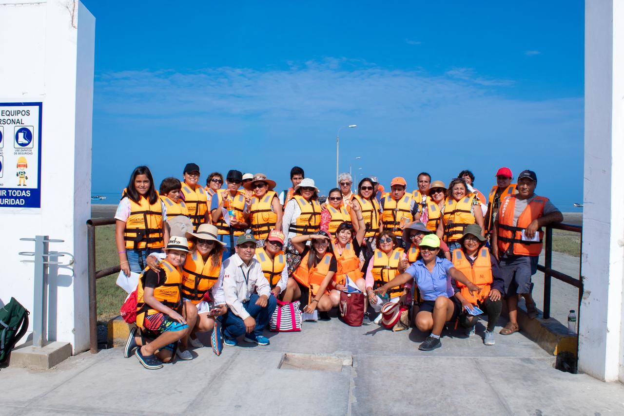 Lobos marinos en su hábitat