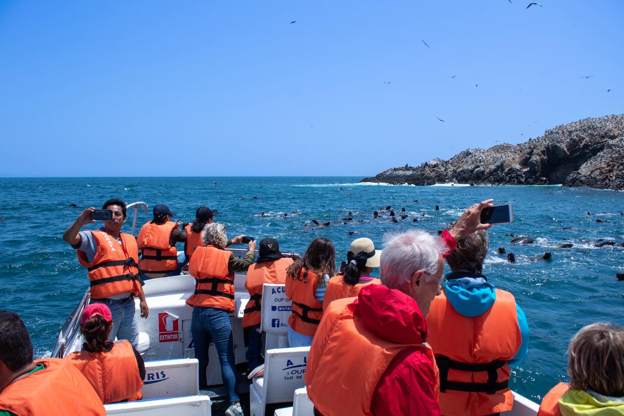 Vista de las Islas Guañape