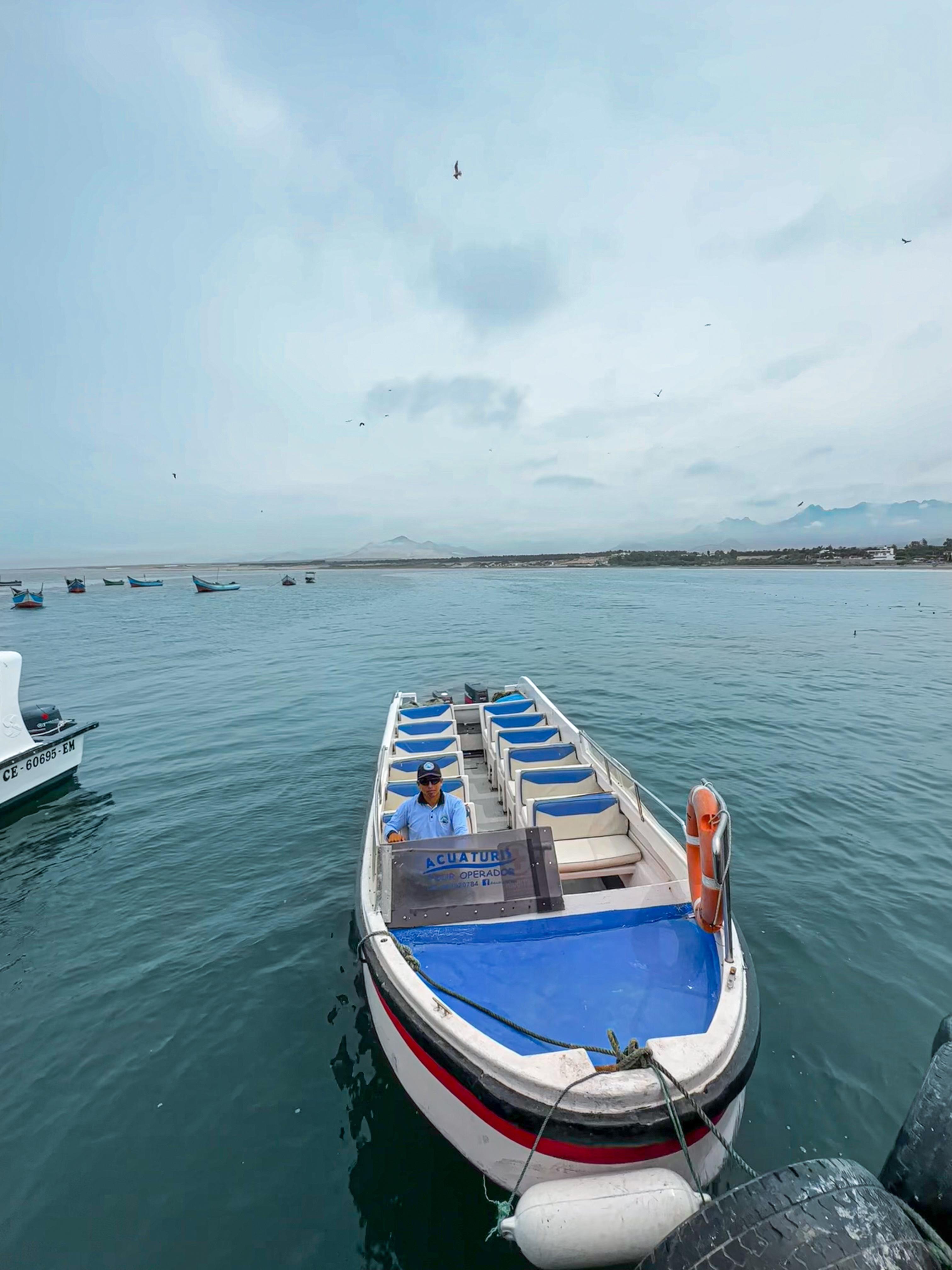 Pingüinos de Humboldt en las Islas Guañape