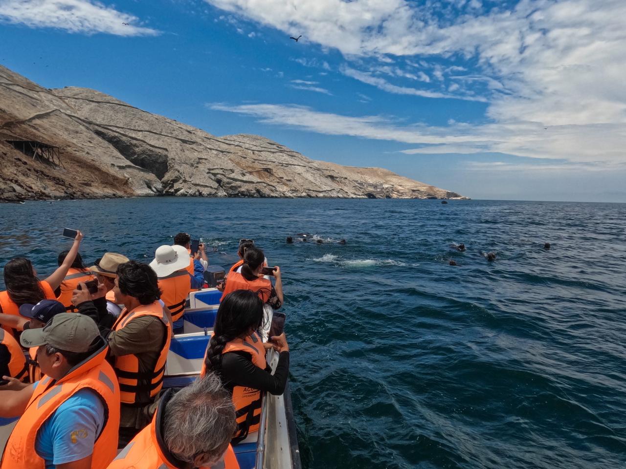 Avistamiento de fauna marina