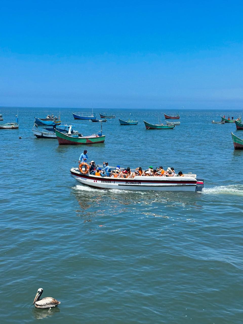 Turistas disfrutando el tour